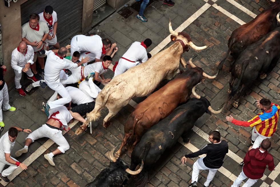 Los toros de la ganadería gaditana de Cebada Gago han protagonizado un encierro rápido