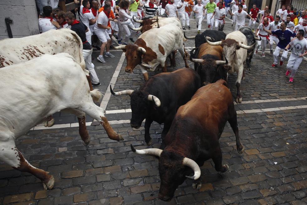 Los toros de la ganadería gaditana de Cebada Gago han protagonizado un encierro rápido
