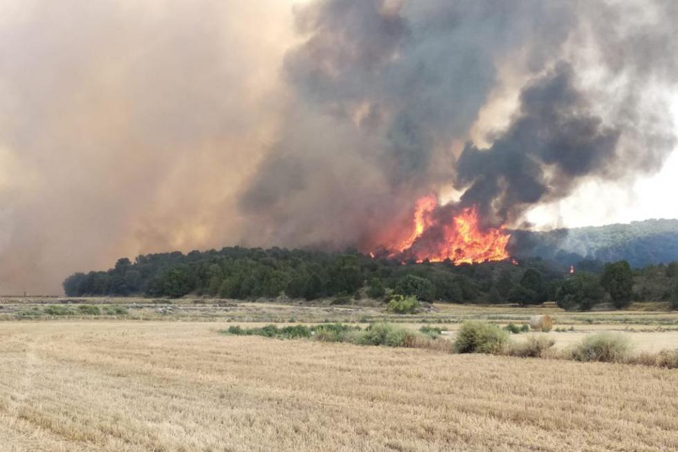 Incendio en la Sierra de Alcubierre