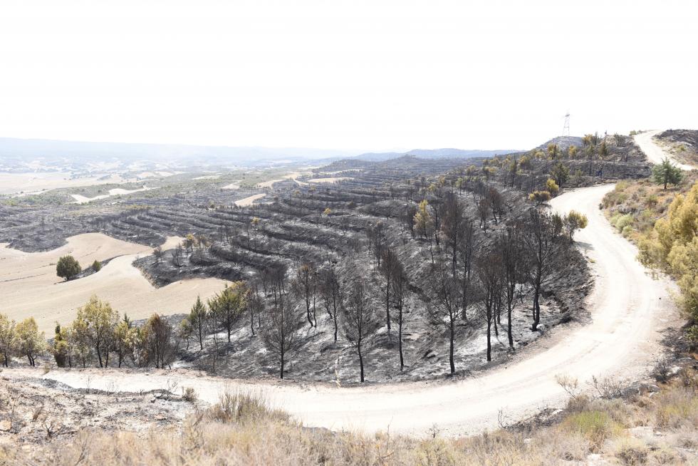 El incendio de la sierra de Alcubierre, entre Leciñena y Perdiguera, ha quemado 1.200 hectáreas