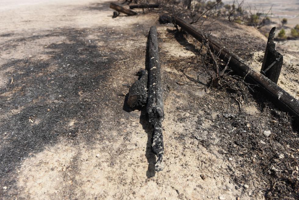 El incendio de la sierra de Alcubierre, entre Leciñena y Perdiguera, ha quemado 1.200 hectáreas
