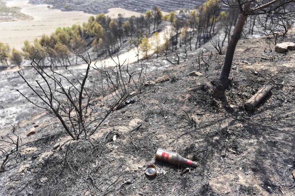 El incendio de la sierra de Alcubierre, entre Leciñena y Perdiguera, ha quemado 1.200 hectáreas