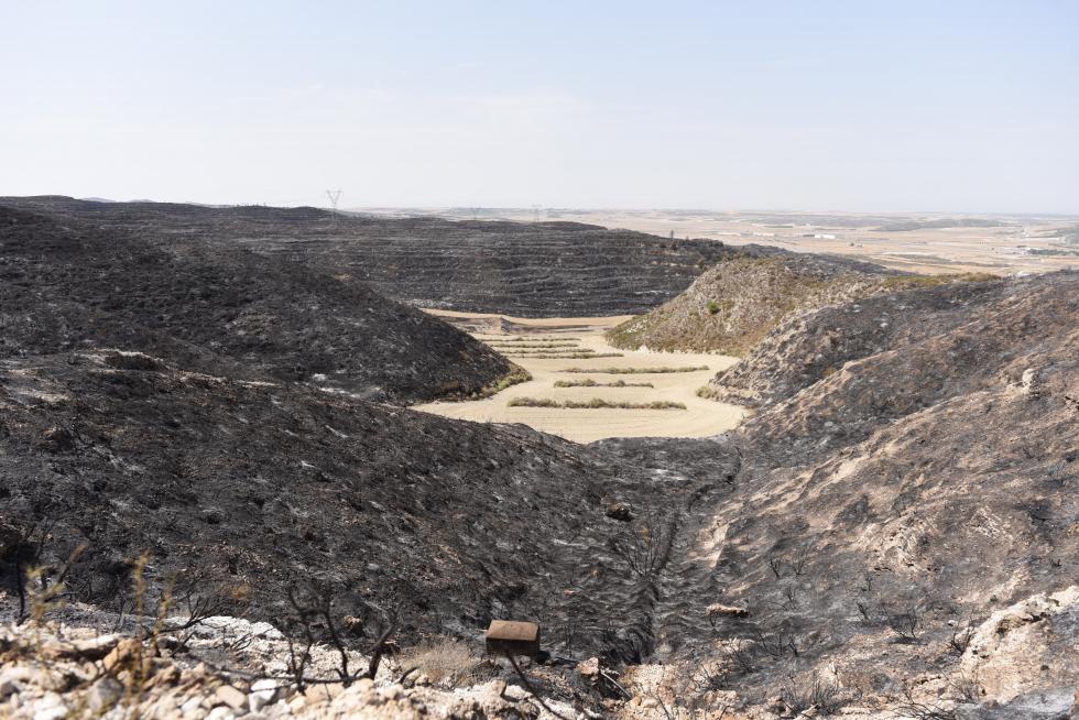 El incendio de la sierra de Alcubierre, entre Leciñena y Perdiguera, ha quemado 1.200 hectáreas