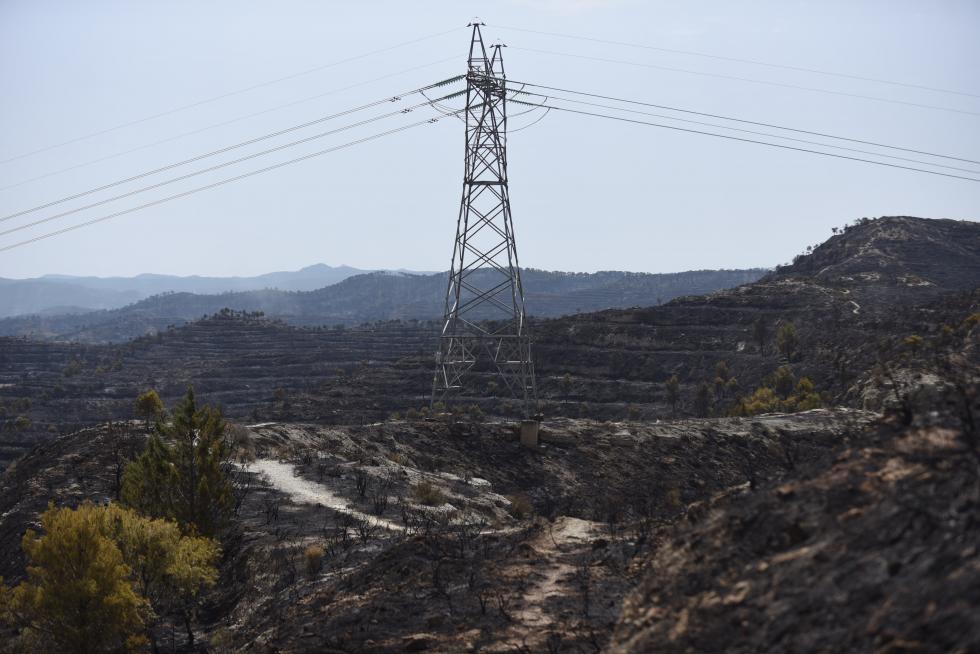 El incendio de la sierra de Alcubierre, entre Leciñena y Perdiguera, ha quemado 1.200 hectáreas