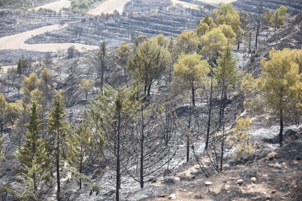 El incendio de la sierra de Alcubierre, entre Leciñena y Perdiguera, ha quemado 1.200 hectáreas