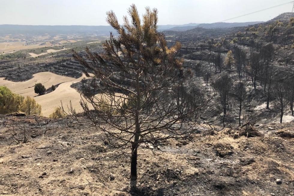 El incendio en la Sierra de Alcubierre ha quemado 1.200 hectáreas