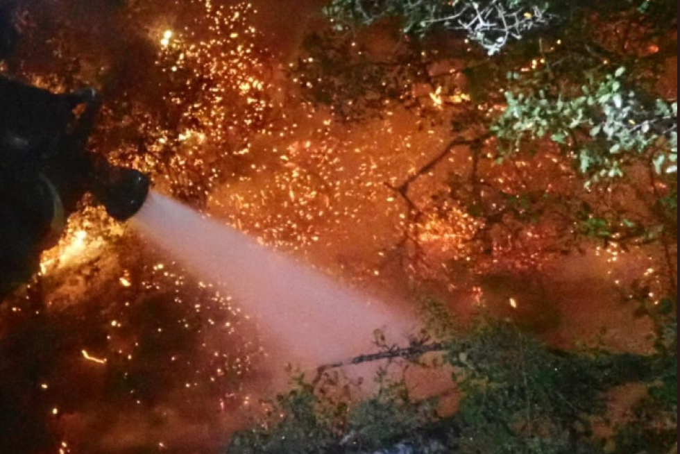 El fuego afecta a los términos de Leciñena y Perdiguera.