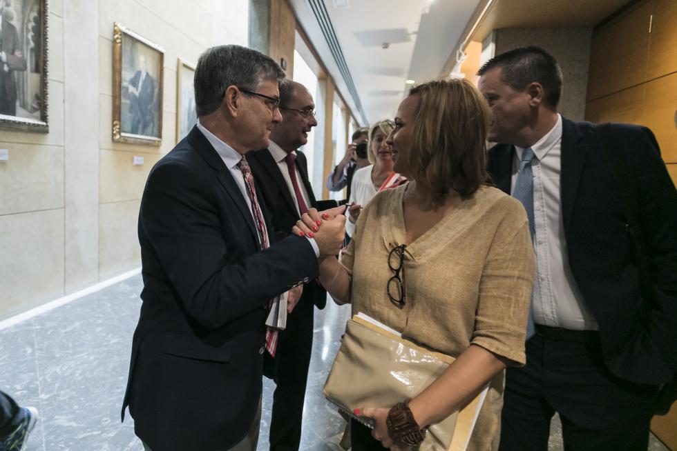 Sesión de investidura de Javier Lambán
