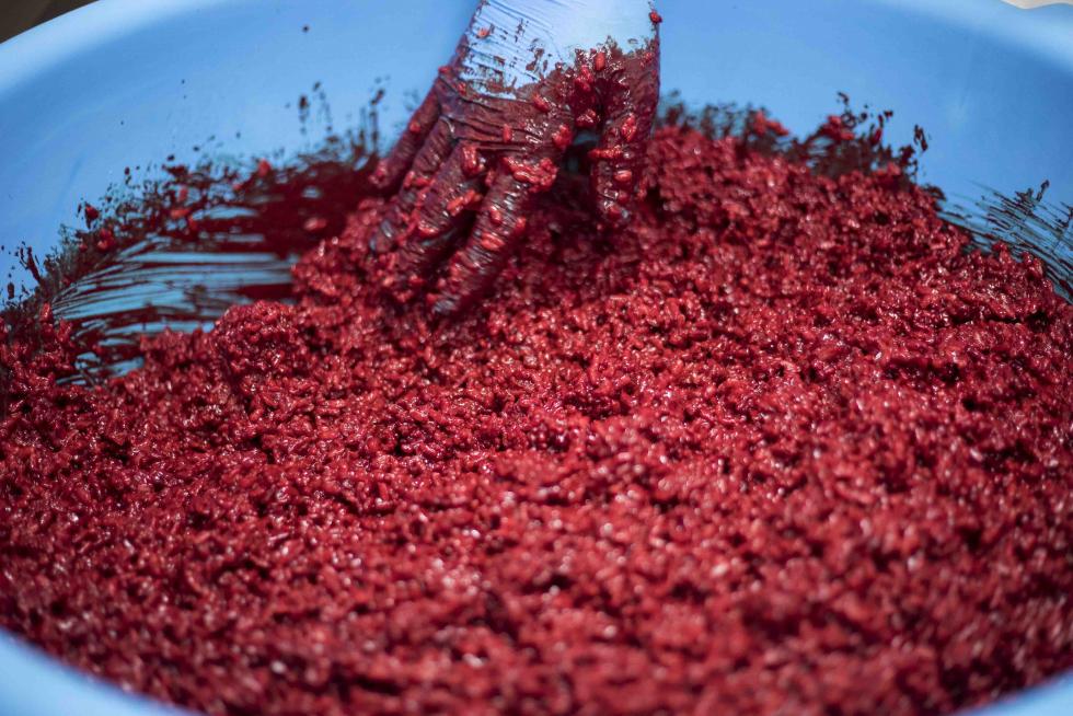 Muestra de preparación artesanal de la morcilla en el obrador de Carnes Ros, de Miedes de Aragón
