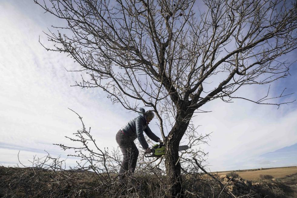 Muestra de preparación artesanal de la morcilla en el obrador de Carnes Ros, de Miedes de Aragón, en Monforte de Moyuela