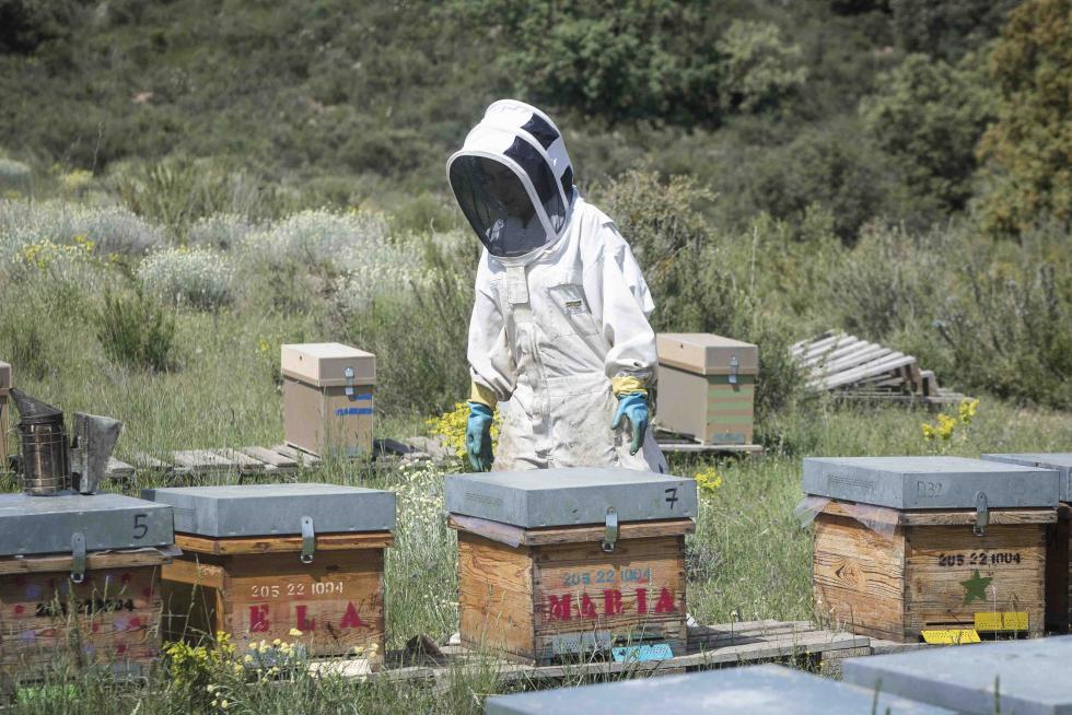 Chamorro, con los productos de su huerta, en Sádaba