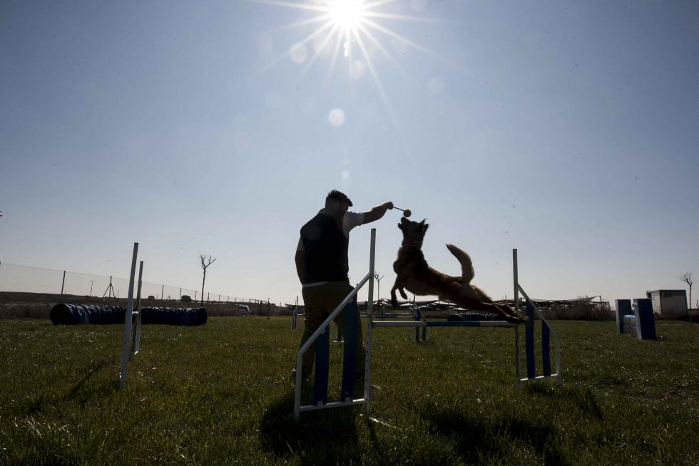 En Bolscan, Vicién, se combinan las facetas de residencia canina con las de centro de adiestramiento deportivo de estos animales