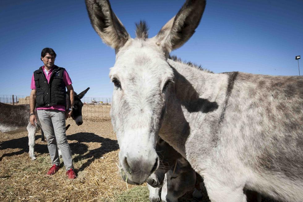 Jaime Serrano y dos de sus animales en la granja-escuela El Capricho en Vinaceite