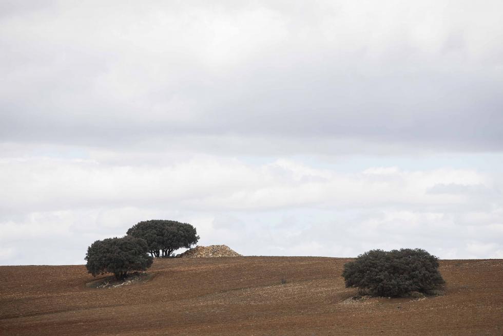 Carrascas de Blancas