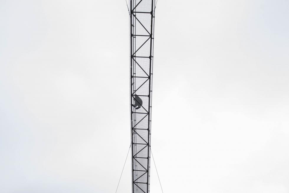 Puente colgante de Montfalcó desde abajo