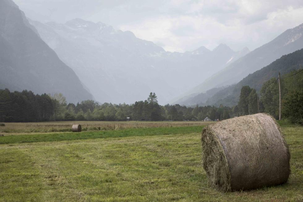Pradera en el valle de Pineta (Bielsa)