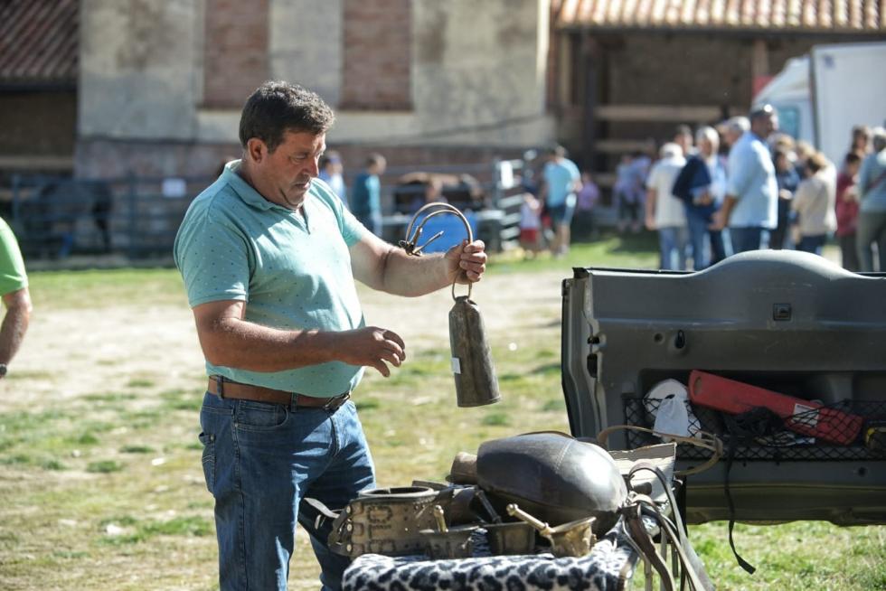 Feria ganadera de Orihuela del Tremedal