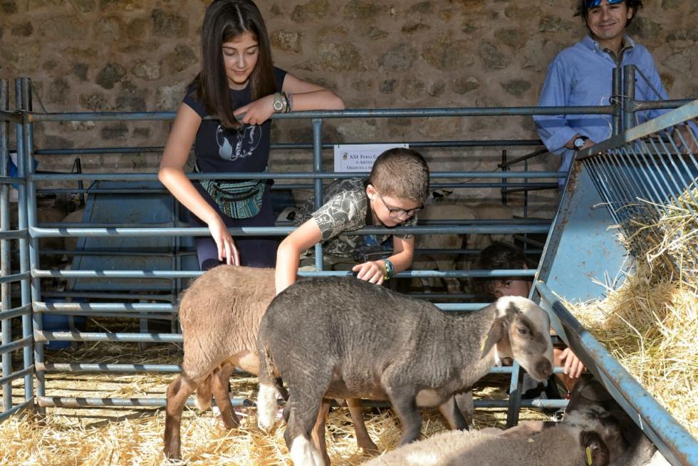 Feria ganadera de Orihuela del Tremedal