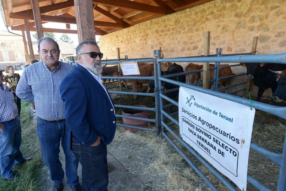Feria ganadera de Orihuela del Tremedal