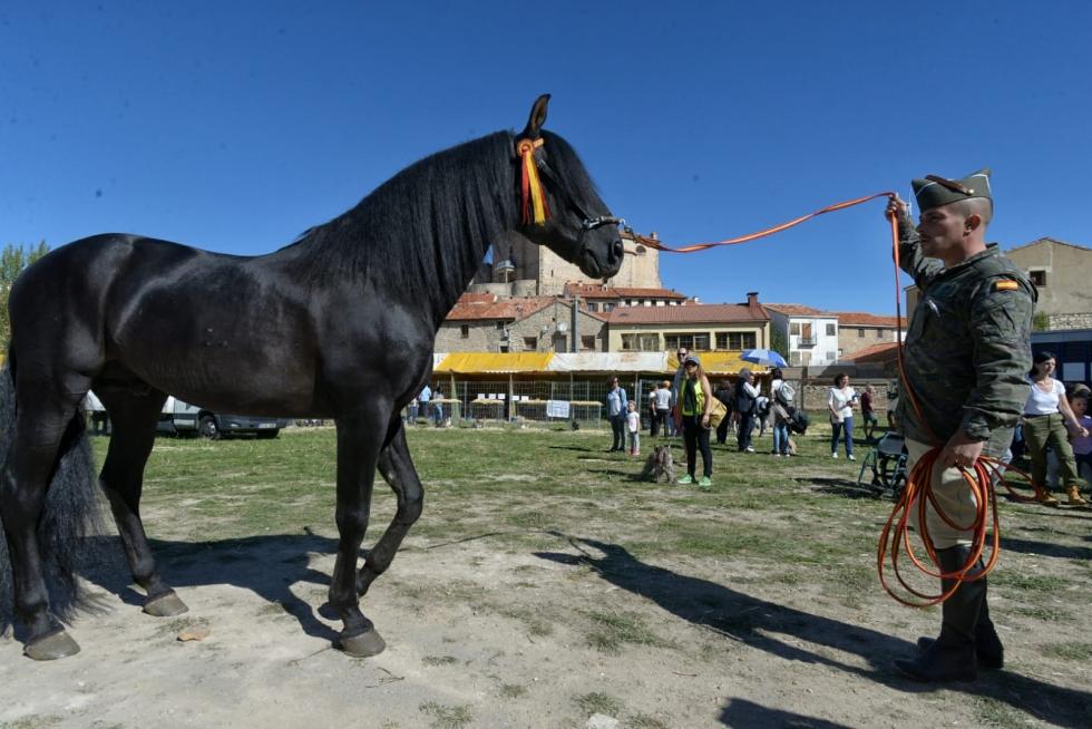 Feria ganadera de Orihuela del Tremedal