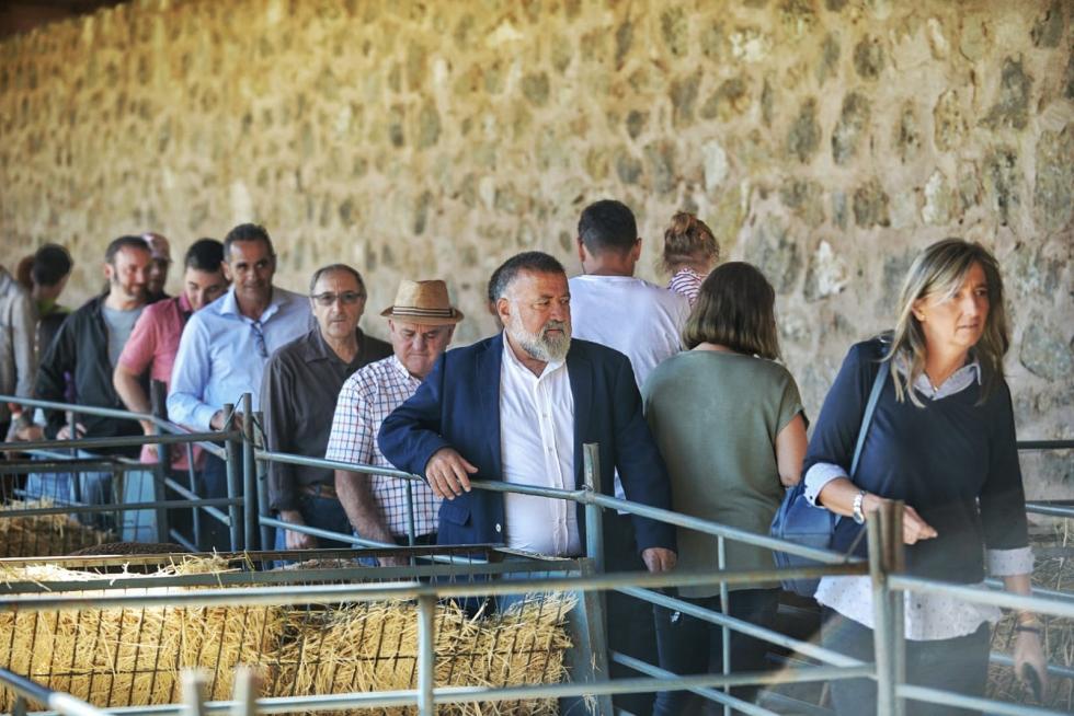 Feria ganadera de Orihuela del Tremedal