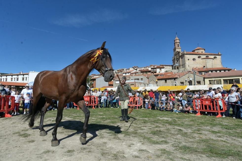 Feria ganadera de Orihuela del Tremedal