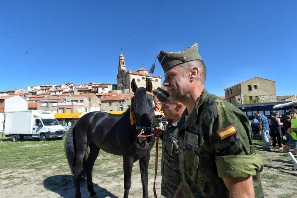 Feria ganadera de Orihuela del Tremedal