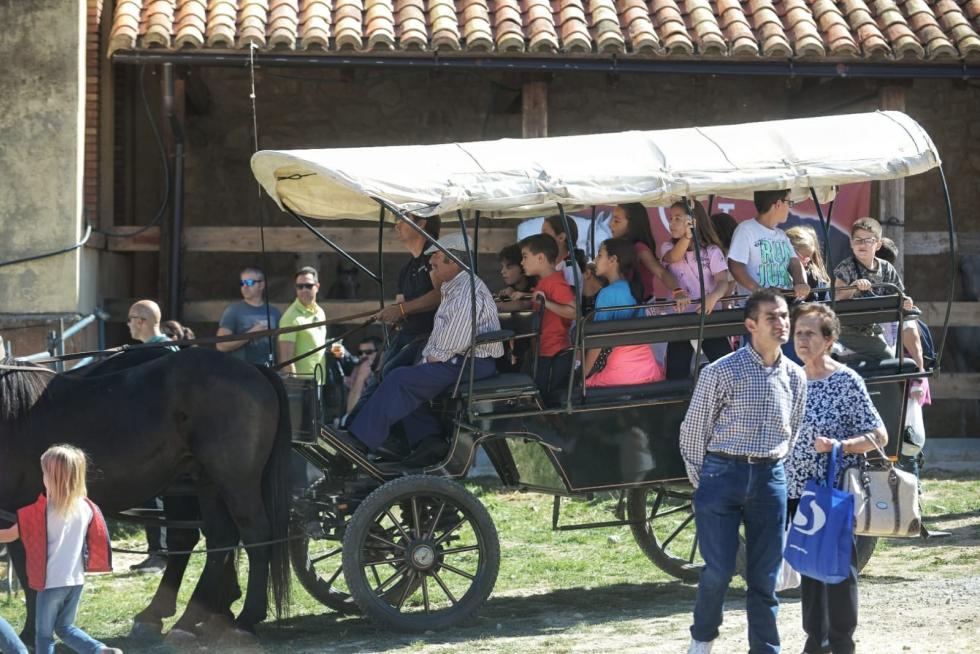 Feria ganadera de Orihuela del Tremedal