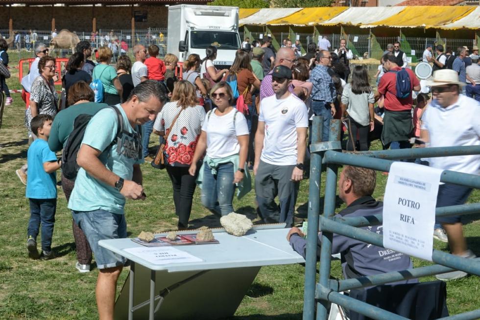 Feria ganadera de Orihuela del Tremedal