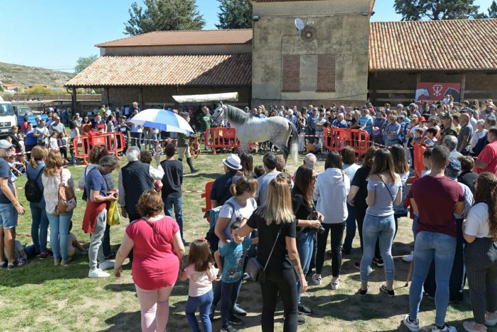 Feria ganadera de Orihuela del Tremedal