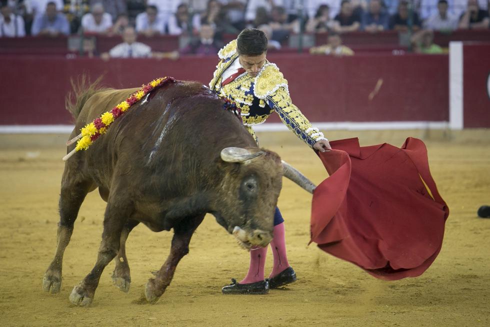GRAF6283. ZARAGOZA, 06/10/2019.- El diestro Morante de la Puebla durante la faena a su segundo toro, de Garcigrande, en la corrida celebrada hoy en el coso de La Misericordia con motivo de la Feria del Pilar de Zaragoza y en la que ha compartido cartel con Diego Urdiales y Cayetano. EFE/Javier Cebollada FERIA DEL PILAR