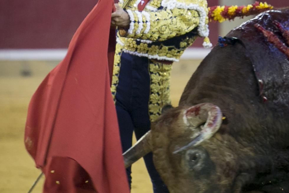 GRAF6283. ZARAGOZA, 06/10/2019.- El diestro Morante de la Puebla durante la faena a su segundo toro, de Garcigrande, en la corrida celebrada hoy en el coso de La Misericordia con motivo de la Feria del Pilar de Zaragoza y en la que ha compartido cartel con Diego Urdiales y Cayetano. EFE/Javier Cebollada FERIA DEL PILAR