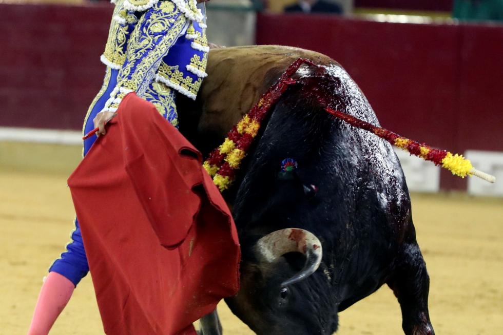 GRAF6286. ZARAGOZA, 06/10/2019.El diestro Cayetano durante la faena a su segundo toro, de Domingo Hernandez celebrada hoy en el coso de La Misericordia con motivo de la Feria del Pilar de Zaragoza y en la que ha compartido cartel con Morante de la Puebla y Diego Urdiales. EFE/Javier Cebollada FERIA DEL PILAR