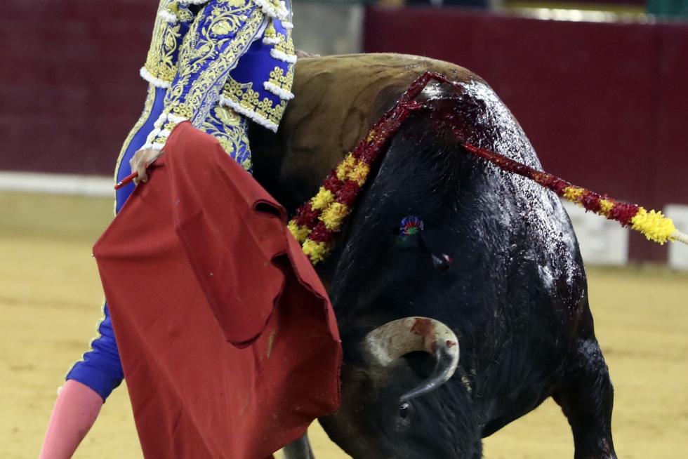 GRAF6285. ZARAGOZA, 06/10/2019.-El diestro Cayetano durante la faena a su segundo toro, de Domingo Hernandez celebrada hoy en el coso de La Misericordia con motivo de la Feria del Pilar de Zaragoza y en la que ha compartido cartel con Morante de la Puebla y Diego Urdiales. EFE/Javier Cebollada FERIA DEL PILAR