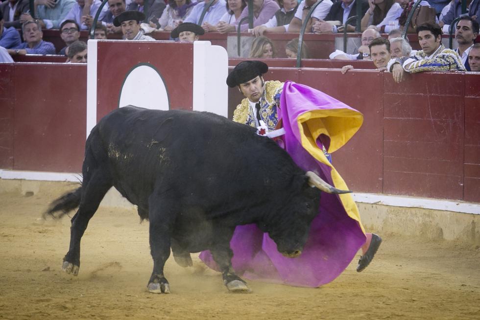 Imágenes de la Feria Taurina del Pilar 2019 protagonizada este domingo, 6 de octubre, por Morante de la Puebla y Urdiales.