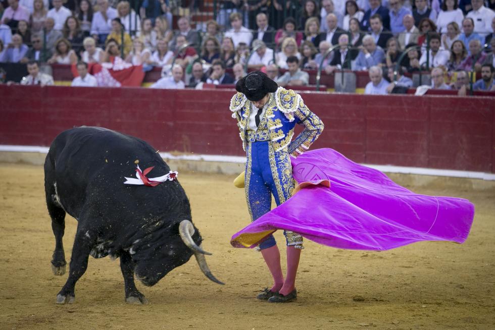 Imágenes de la Feria Taurina del Pilar 2019 protagonizada este domingo, 6 de octubre, por Morante de la Puebla y Urdiales.