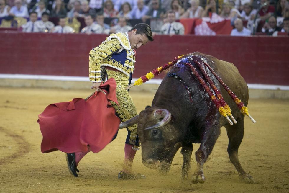 Imágenes de la Feria Taurina del Pilar 2019 protagonizada este domingo, 6 de octubre, por Morante de la Puebla y Urdiales.