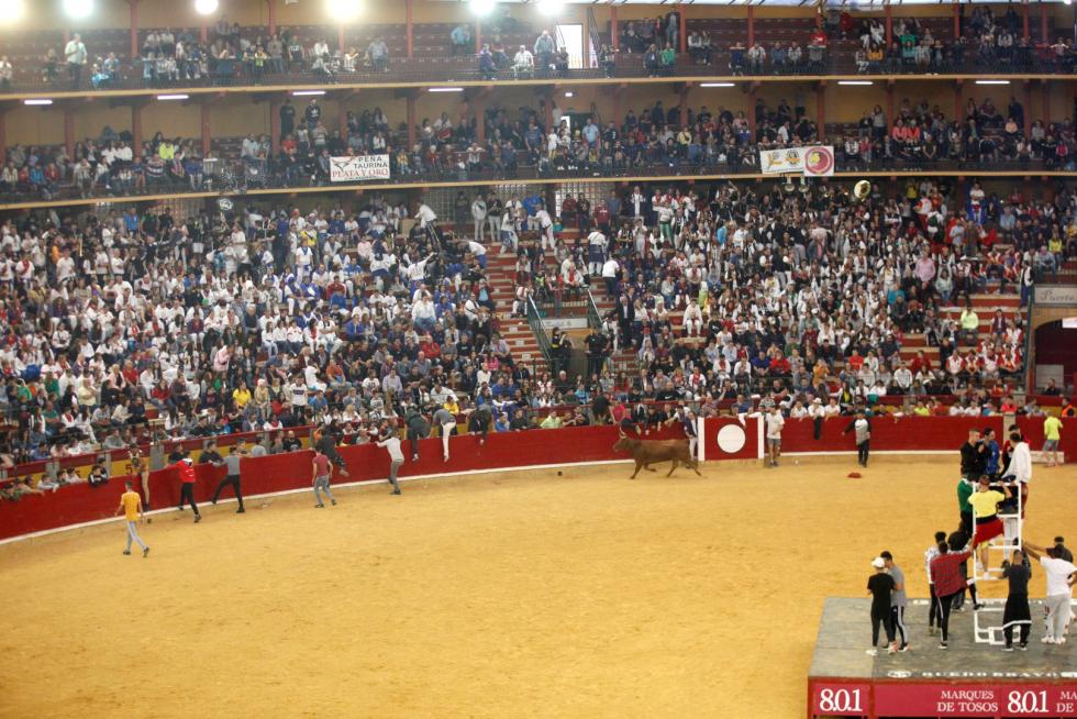 Primer día de vaquillas en las fiestas del Pilar 2019