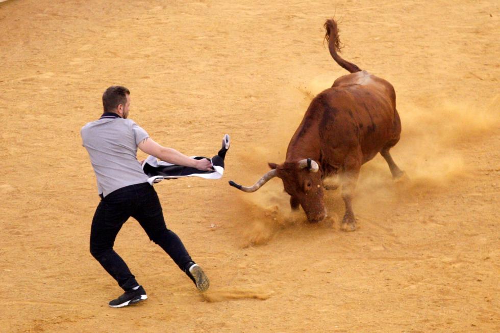 Primer día de vaquillas en las fiestas del Pilar 2019