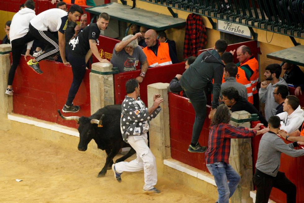 Primer día de vaquillas en las fiestas del Pilar 2019