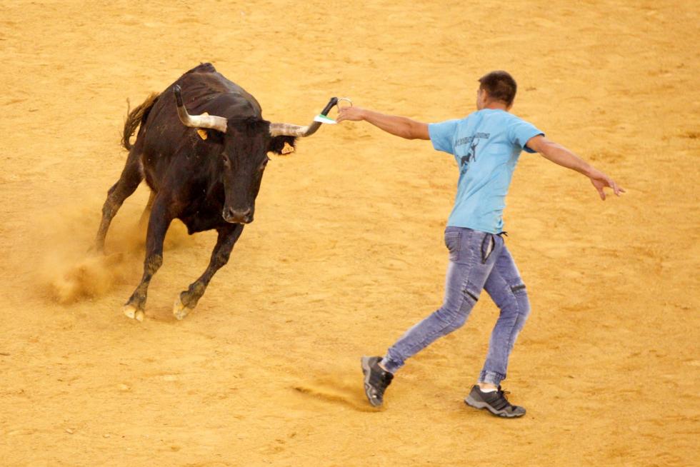 Primer día de vaquillas en las fiestas del Pilar 2019
