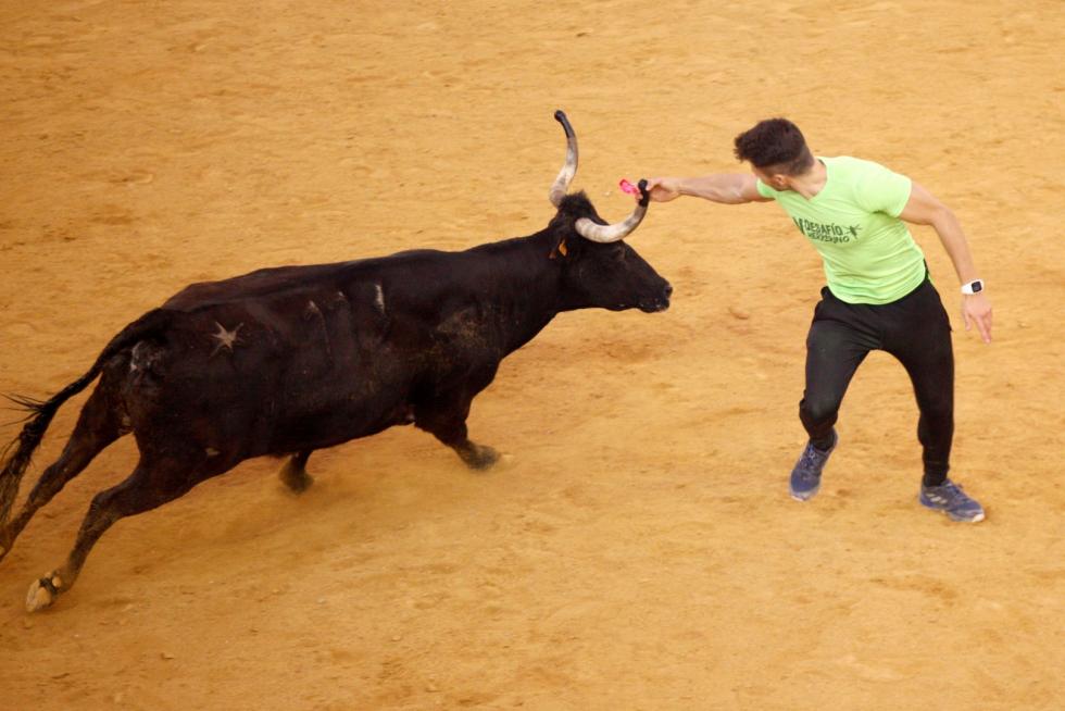 Primer día de vaquillas en las fiestas del Pilar 2019