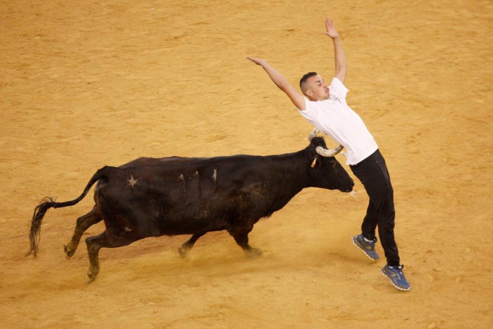 Primer día de vaquillas en las fiestas del Pilar 2019