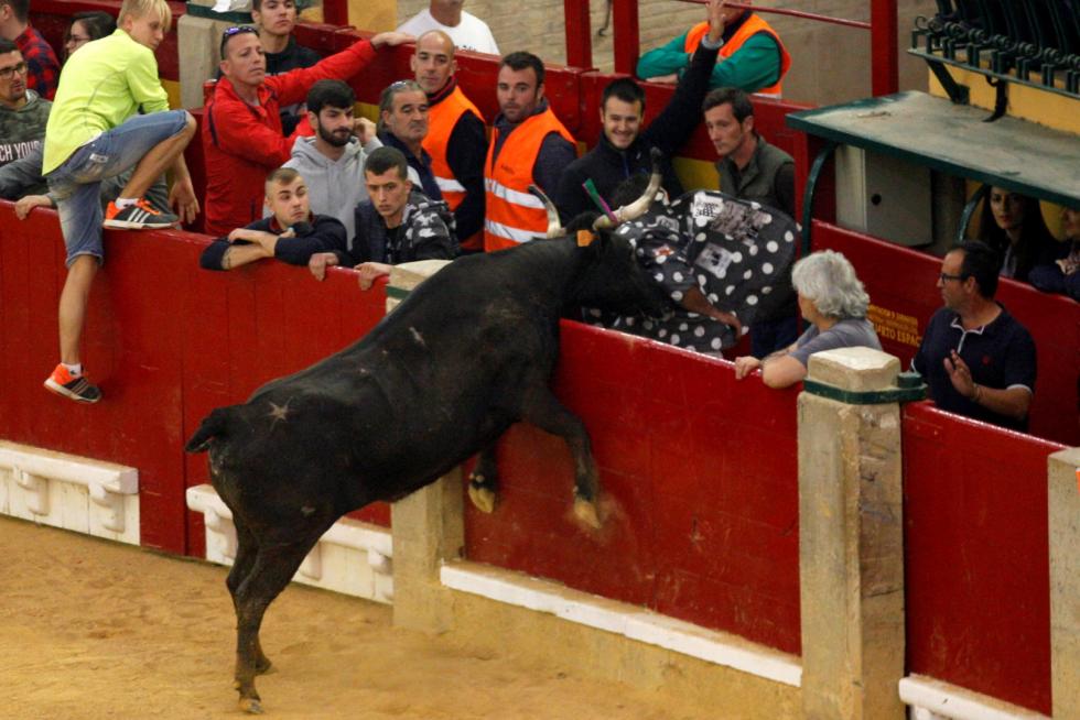 Primer día de vaquillas en las fiestas del Pilar 2019