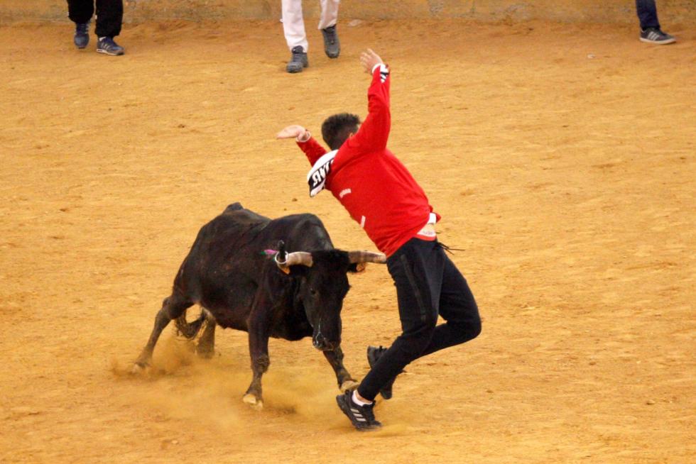 Primer día de vaquillas en las fiestas del Pilar 2019