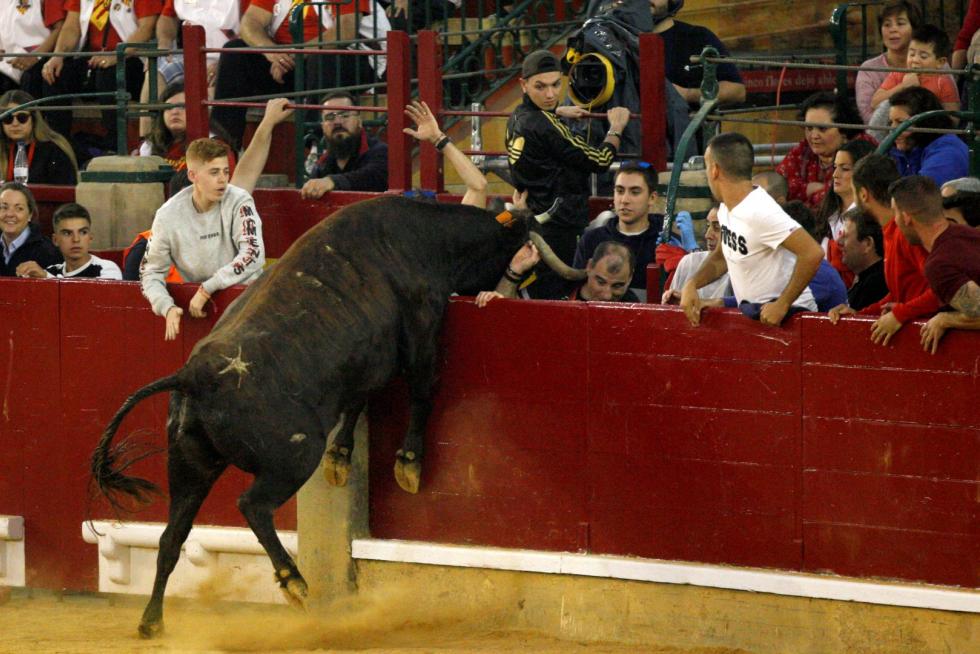 Primer día de vaquillas en las fiestas del Pilar 2019