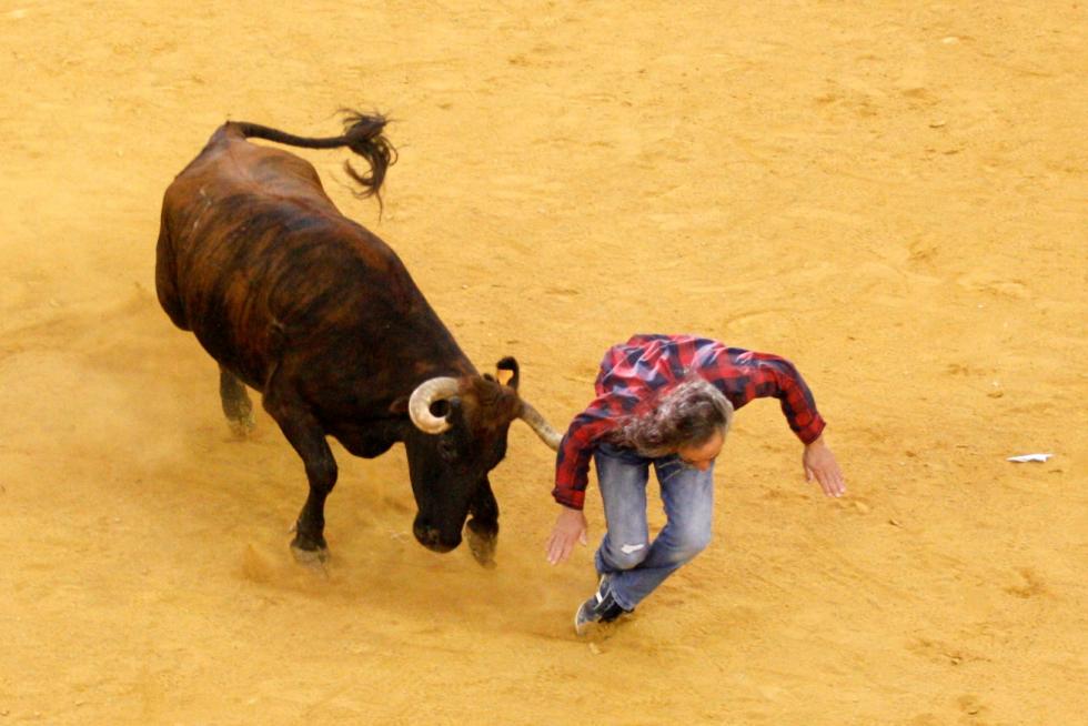 Primer día de vaquillas en las fiestas del Pilar 2019