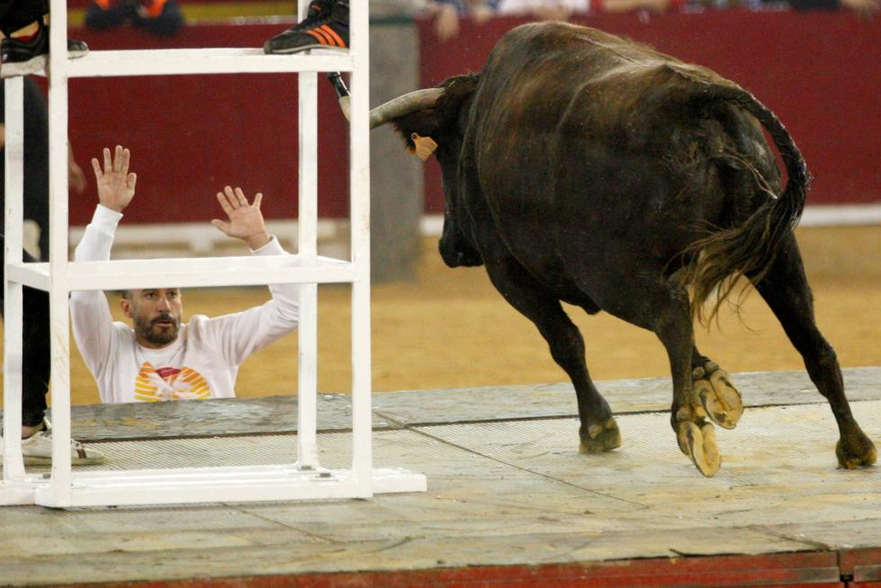 Primer día de vaquillas en las fiestas del Pilar 2019