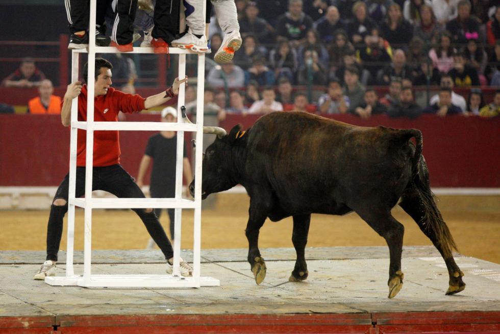 Primer día de vaquillas en las fiestas del Pilar 2019