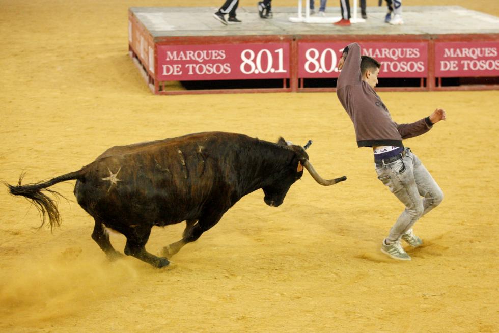 Primer día de vaquillas en las fiestas del Pilar 2019